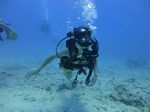 Hawaii Scuba divng 77