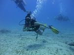 Hawaii Scuba divng 78