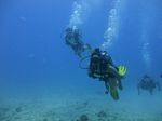 Hawaii Scuba divng 79