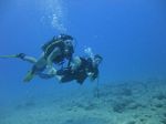 Hawaii Scuba divng 80