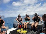 Hawaii Scuba divng 08