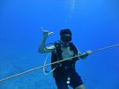 Hawaii Scuba divng 16