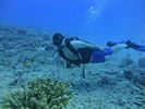 Hawaii Scuba divng 17