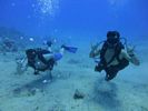 Hawaii Scuba divng 18