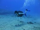 Hawaii Scuba divng 19