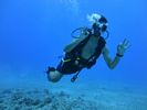 Hawaii Scuba divng 20