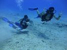 Hawaii Scuba divng 22