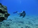 Hawaii Scuba divng 26