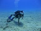 Hawaii Scuba divng 27