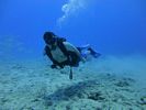 Hawaii Scuba divng 33