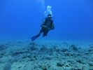 Hawaii Scuba divng 35