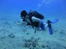 Hawaii Scuba divng 38