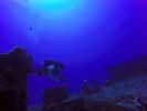 Hawaii Scuba divng 56