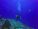 Hawaii Scuba divng 56