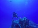 Hawaii Scuba divng 57