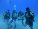 Hawaii Scuba divng 06