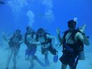 Hawaii Scuba divng 07