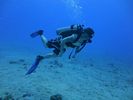 Hawaii Scuba divng 10