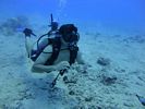 Hawaii Scuba divng 11