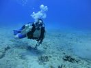 Hawaii Scuba divng 21