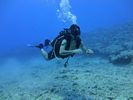 Hawaii Scuba divng 31