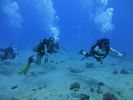 Hawaii Scuba divng 09