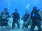 Hawaii Scuba divng 10