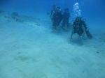 Hawaii Scuba divng 13