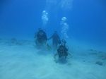 Hawaii Scuba divng 14