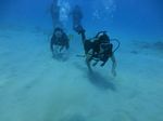 Hawaii Scuba divng 15