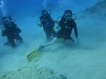 Hawaii Scuba divng 16