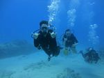 Hawaii Scuba divng 17