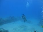 Hawaii Scuba divng 18