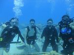 Hawaii Scuba divng 19