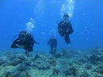 Hawaii Scuba divng 25