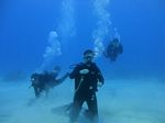 Hawaii Scuba divng 26