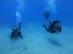 Hawaii Scuba divng 28