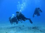 Hawaii Scuba divng 29