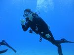 Hawaii Scuba divng 31