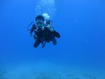 Hawaii Scuba divng 32