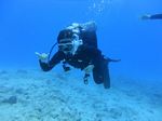 Hawaii Scuba divng 33