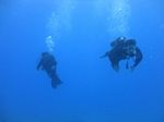 Hawaii Scuba divng 34