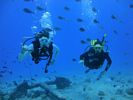 Hawaii Scuba divng 14