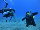 Hawaii Scuba divng 15