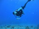 Hawaii Scuba divng 16