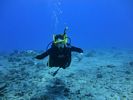 Hawaii Scuba divng 17