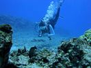 Hawaii Scuba divng 20