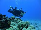 Hawaii Scuba divng 21