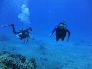 Hawaii Scuba divng 23