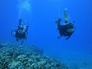 Hawaii Scuba divng 24